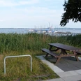 Picknickplatz am Rundweg, mit Blick auf einen See und Boote, umgeben von Schilf und Bäumen.