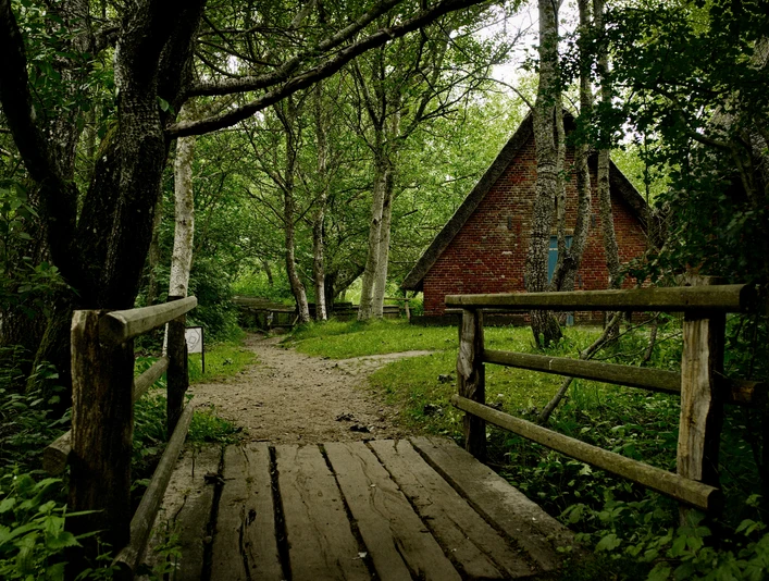 Naturpfad Vogelkoje Kampen