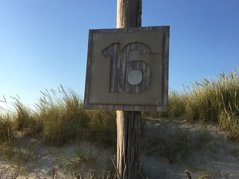 Hundestrand an der Buhne 16 in Kampen
