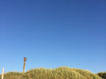 Hundestrand an der Buhne 16 in Kampen