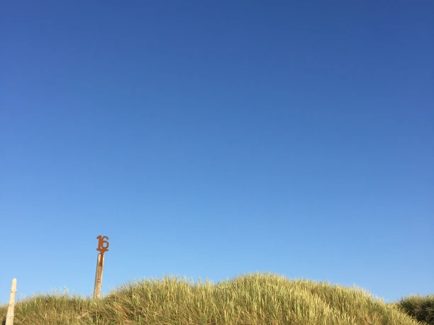 Hundestrand an der Buhne 16 in Kampen