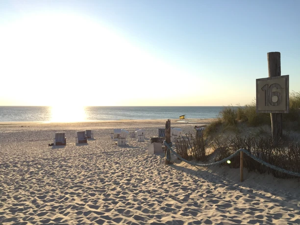 Hundestrand an der Buhne 16 in Kampen