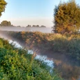Morgennebel über einem ruhigen Fluss, umgeben von üppigem Grün und leichtem Sonnenlicht.
