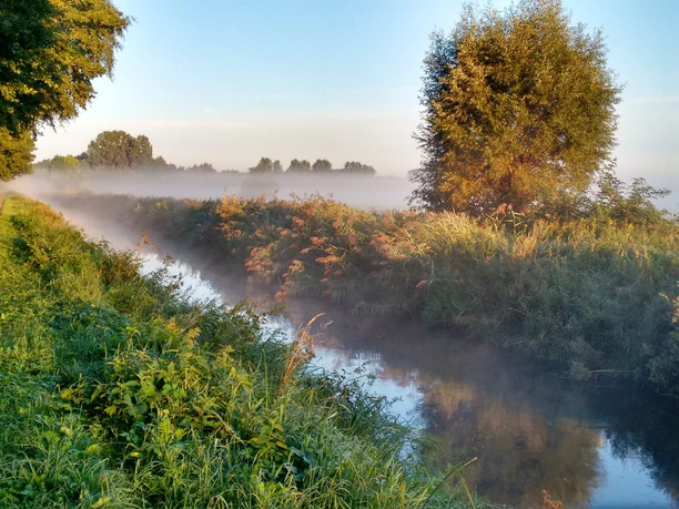 Morgennebel über einem ruhigen Fluss, umgeben von üppigem Grün und leichtem Sonnenlicht.