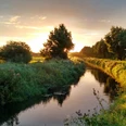 Rietberger Emsniederungen Ein idyllischer Sonnenuntergang spiegelt sich in einem ruhig fließenden Fluss, umgeben von üppigem Grün.