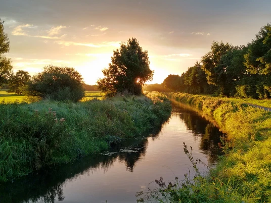 Rietberger Emsniederungen Ein idyllischer Sonnenuntergang spiegelt sich in einem ruhig fließenden Fluss, umgeben von üppigem Grün.