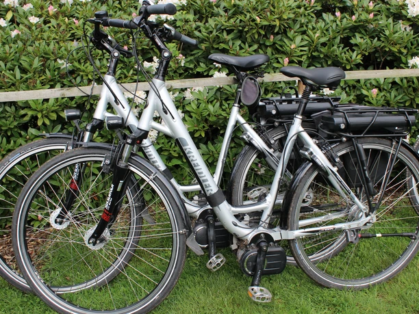 E-Bikes Zwei silberne E-Bikes sind vor einer grünen Hecke mit pinken Blüten auf Rasen geparkt.