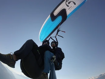 thun-swissgliders-paragliding-gleitschirm-sommer-panorama