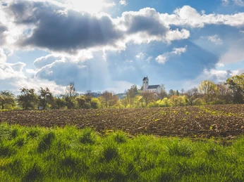 fr-hling-roggenbeuren-2