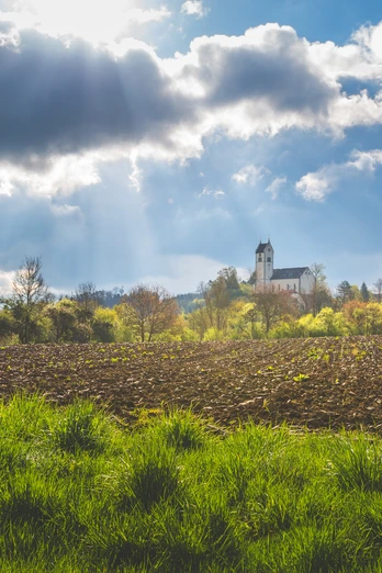 fr-hling-roggenbeuren-2