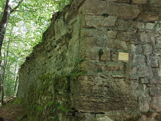 ringgenberg-schadburg-ruine-wald-sommer-wandern