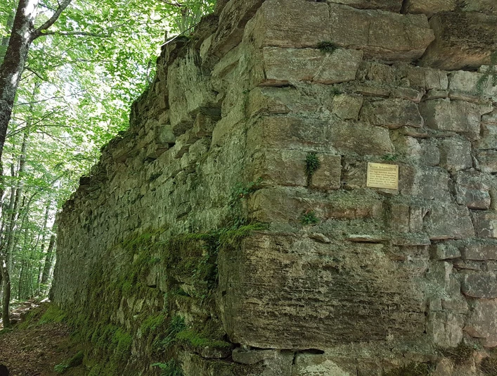 ringgenberg-schadburg-ruine-wald-sommer-wandern