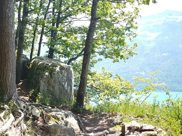 ringgenberg-ruine-schadburg-brienzersee-aussicht-sommer