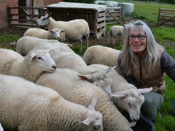 Bild_Besuch bei den Mühlenschafen.jpg