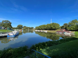 Hafen Nienburg Eine ruhige Flussmündung mit festgemachten Booten und umliegendem saftigem Grün unter blauem Himmel.