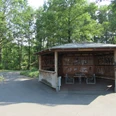 Holzhütte mit Graffiti und zwei Bänken auf asphaltiertem Weg im grünen Wald am Rundweg Steinhude.