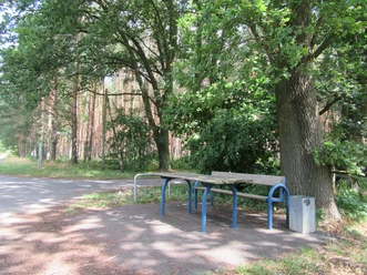 Picknickplatz mit Tisch und Bänken im Schatten großer Bäume an einer ruhigen Landstraße in Mardorf.