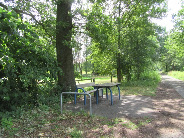Picknickplatz Weißdornweg Ecke Hegebusch Mardorf Picknicktisch mit Bank unter einem schattenspendenden Baum, umgeben von grüner Natur am Wegrand.