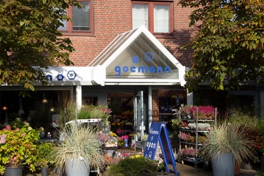 Blumen Goemann