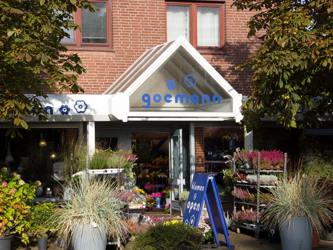 Blumen Goemann