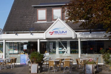 Fisch Blum