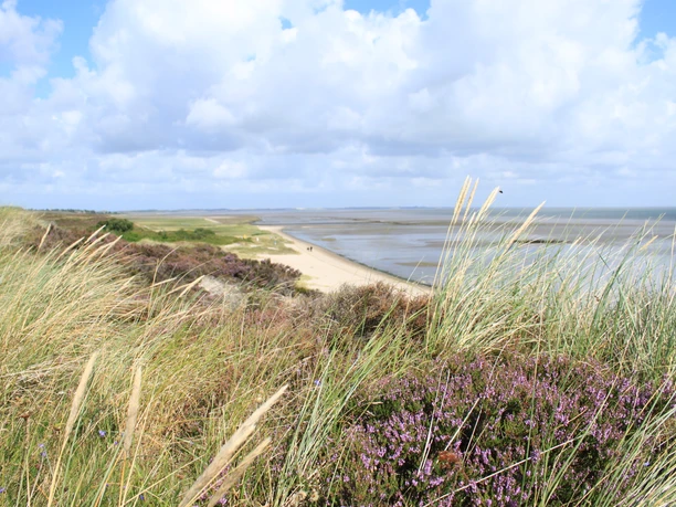 Strand an der Braderuper Heide