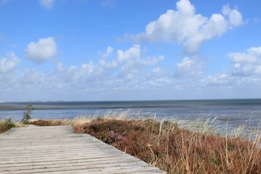 Holzweg in der Braderuper Heide