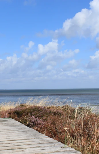 Holzweg in der Braderuper Heide