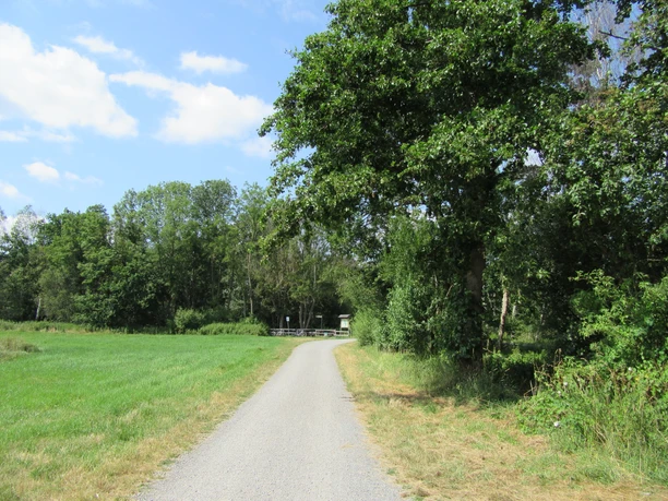Rad- Wanderweg zum Picknickplatz in der Schutzhütte Nähe Aussichtsturm Ostenmeer Ein Schotterweg führt durch eine grüne Landschaft zu einer hölzernen Schutzhütte am Waldrand.