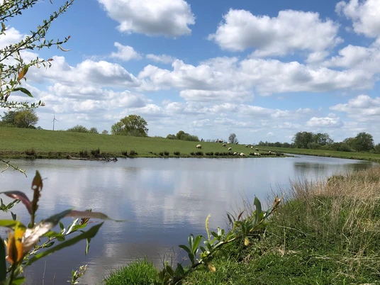 Flusslandschaft Aper Tief Eine friedliche Flusslandschaft am Aper Tief mit grünen Ufern, Schafen und blauem Himmel.