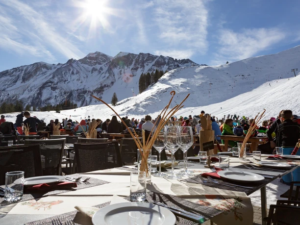 schwarzenegg (2).jpg