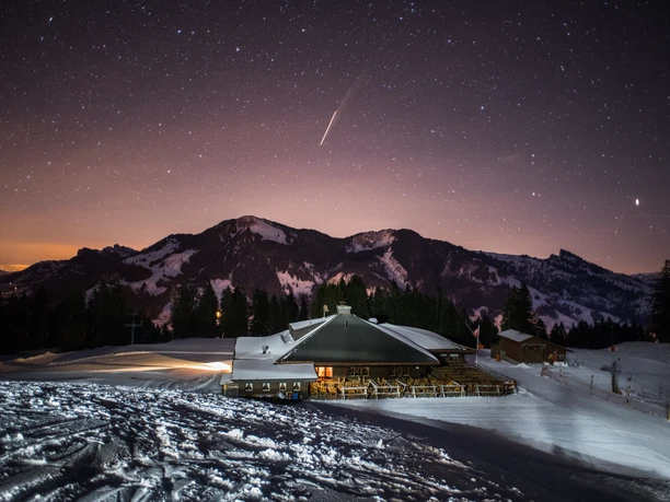 schwarzenegg (3).JPG