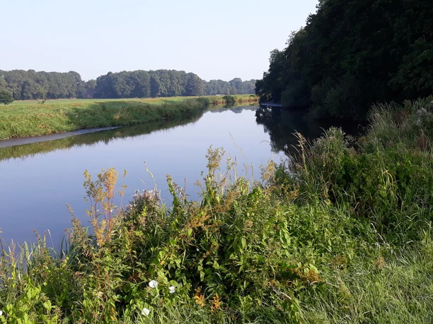 Godensholter Tief Das Bild zeigt das ruhige Flussufer des Godensholter Tiefs, umrahmt von üppigem Grün und Bäumen.