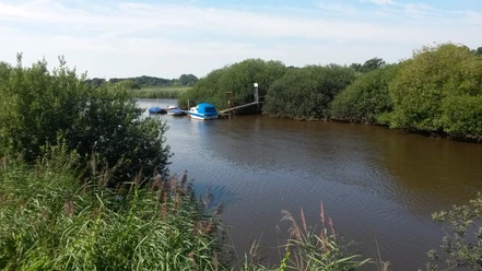 Anleger am Nordloher Tief Das Bild zeigt den Anleger am Nordloher Tief, umrahmt von dichtem Grün, mit einem kleinen Boot vor Anker.