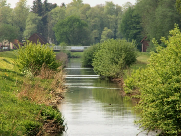 Große Norderbäke Ein idyllisch gelegene Bäke fließt durch eine grüne, bewaldete Landschaft.