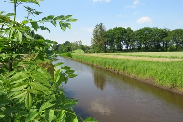 Nordlohkanal Ein ruhiger Kanal fließt durch eine grüne Landschaft, gesäumt von Bäumen und Wiesen unter blauem Himmel.