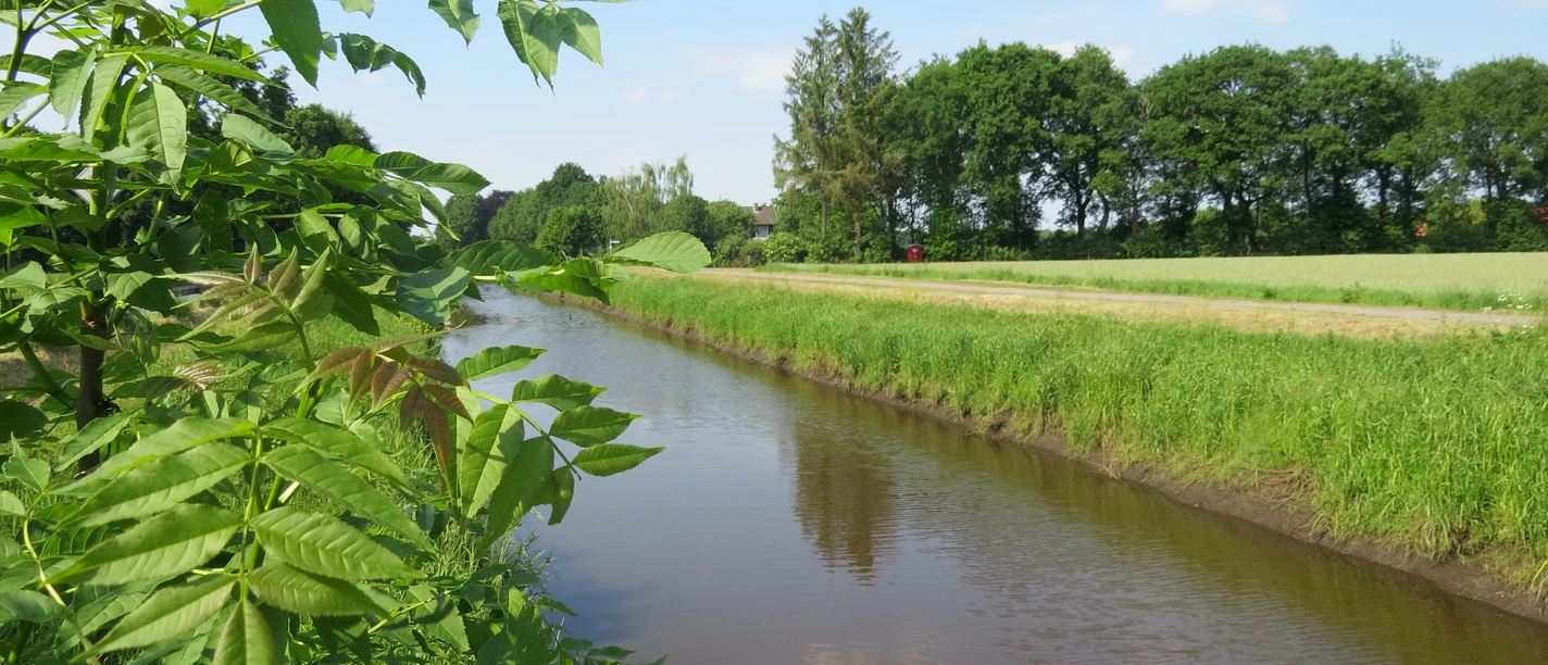 Nordlohkanal Ein ruhiger Kanal fließt durch eine grüne Landschaft, gesäumt von Bäumen und Wiesen unter blauem Himmel.