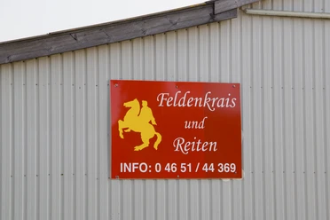 Feldenkrais und Reiten