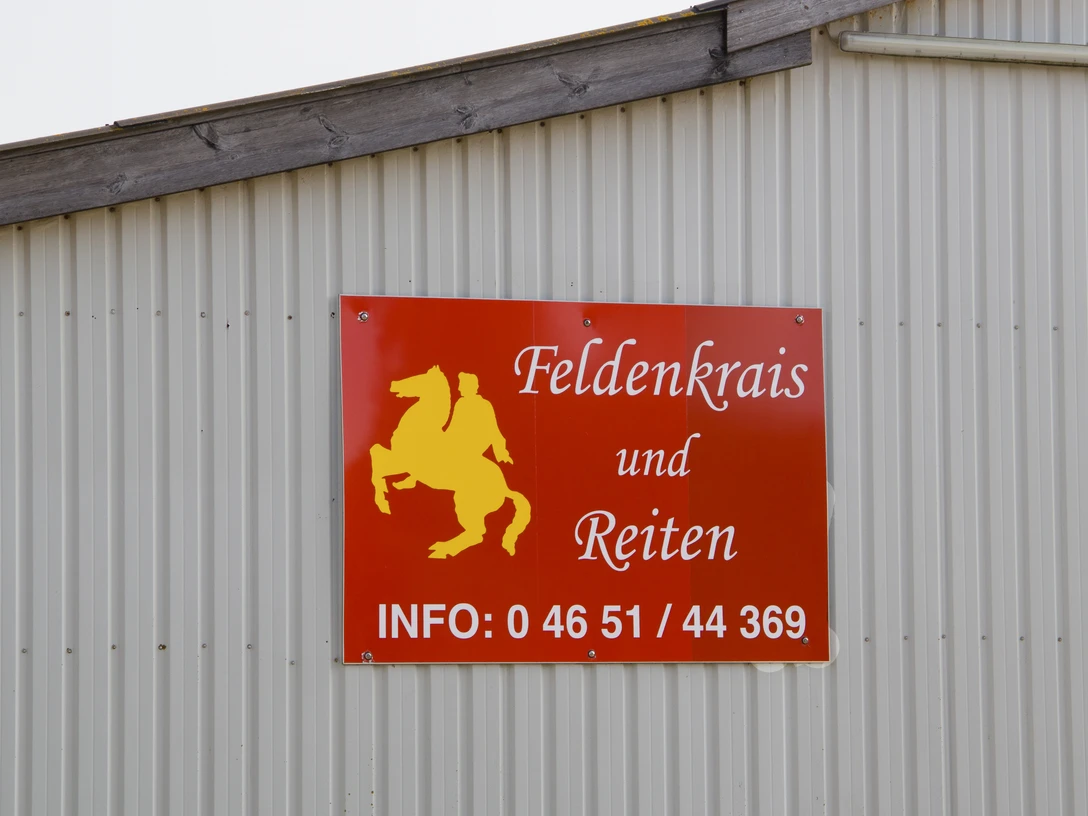 Feldenkrais und Reiten