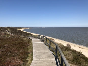 Weißes Kliff in Braderup