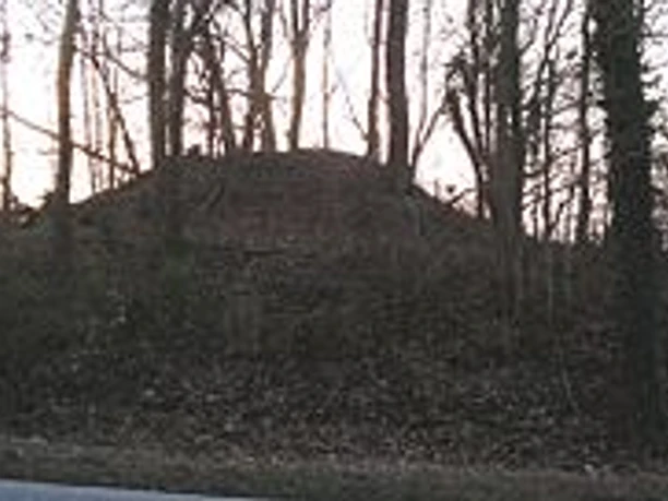 Grabhügel Rugenbarg