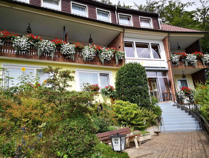 Pension Talblick in Bad Grund - Aufgang zur Pension Pension Talblick in Bad Grund - Aufgang zur Pension