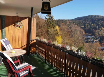 Pension Talblick in Bad Grund - Balkon