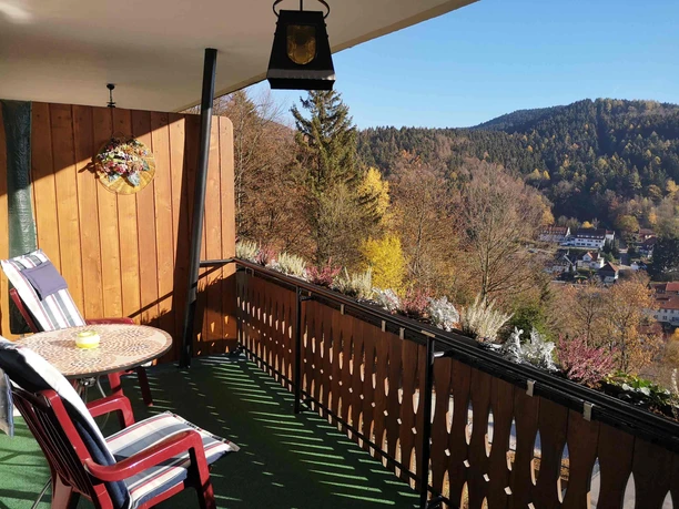 Pension Talblick in Bad Grund - Balkon