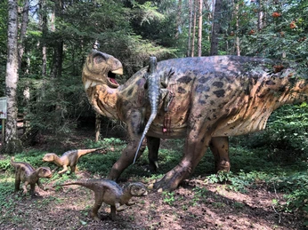 Dino-Park Münchehagen Lebensechte Dinosaurierfiguren in einem bewaldeten Park, umgeben von üppigem Grün und Bäumen.Lifelike dinosaur figures in a wooded park, surrounded by lush greenery and trees.Livagtige dinosaurfigurer i en skovpark, omgivet af frodigt grønt og træer.Levensechte dinosaurusfiguren in een bosrijk park, omringd door weelderig groen en bomen.