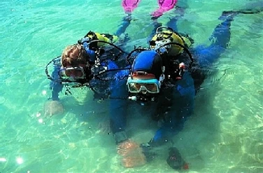 Tauchen im Dankernsee Zwei Taucher mit Ausrüstung üben im klaren, türkisfarbenen Wasser des Dankernsees das Abtauchen.