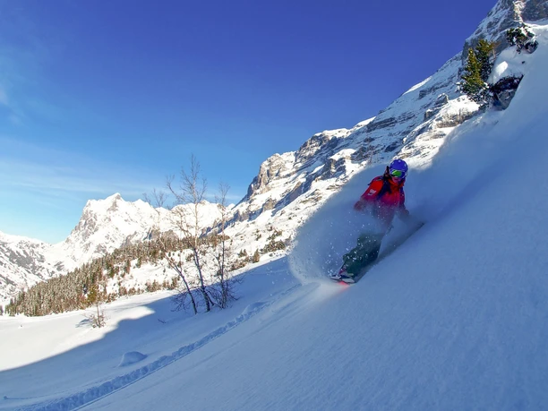 schweizer-skischule-interlaken-kleine-scheidegg-winter-offpist-snowboard