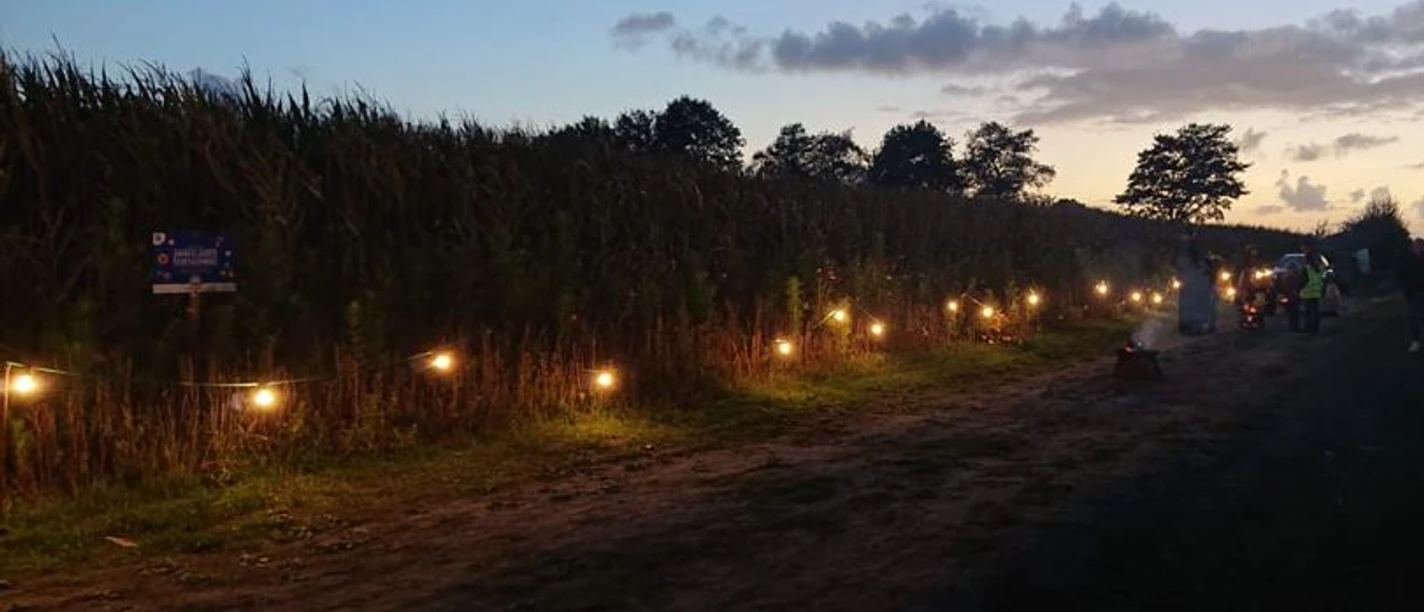 IMG-20230831-WA0110.jpg Beleuchteter Weg an einem dunklen Maisfeld in der Abenddämmerung mit Menschen im Hintergrund.