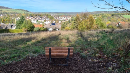 Waldsofa am Höhenweg
