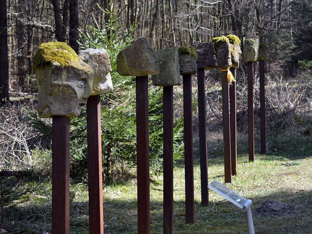 Ars-Natura im Stadtwald